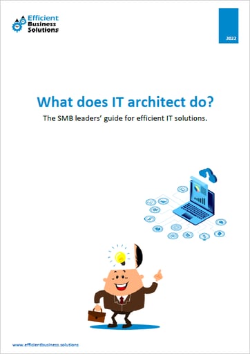 WhatDoesITArchitectDoEBookCover
